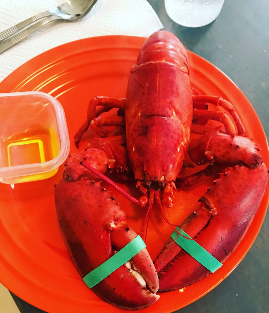How to boil and eat lobster