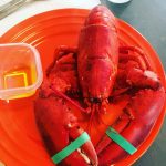 How to boil and eat lobster